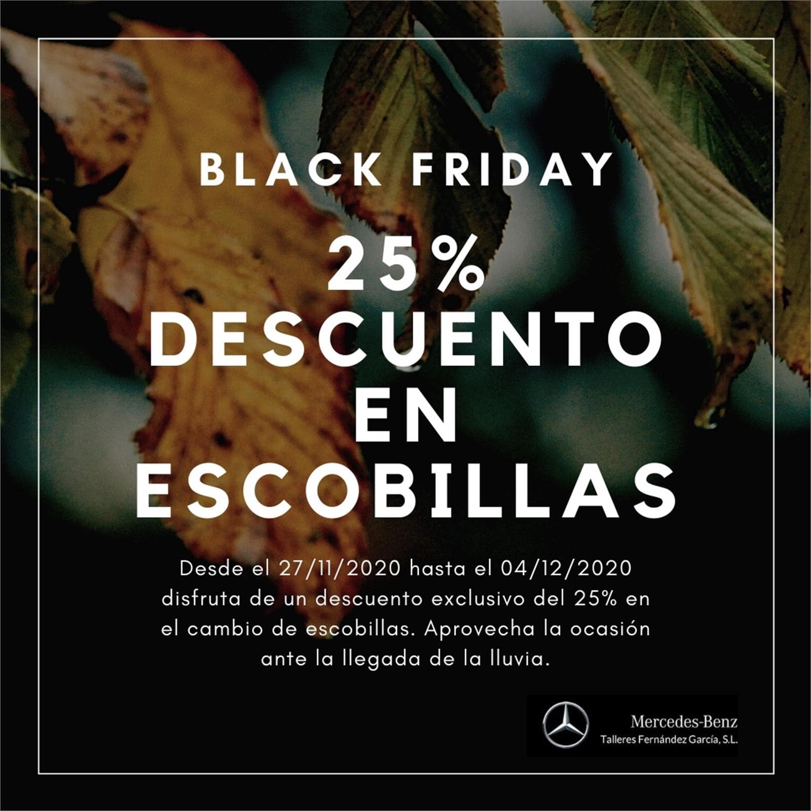 ¡Black Friday en Talleres Fernández García: 15% en mano de obra y 25% en escobillas! - Imagen 2